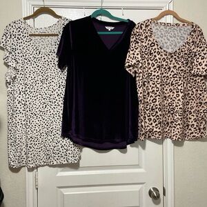 T-shirt bundles 2X (XXL)